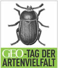 GEO-Wettbewerb GEO-Wettbewerb