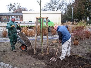tl_files/ose/bilder/veranstaltungen/2009-10/baum02.jpg
